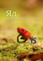  Яд. Достижение эволюции смотреть онлайн сериал 1 сезон 